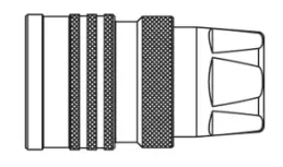 10010 RV